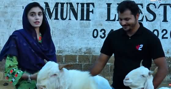 19 Years Old Girl, Student of A-Level Started Goat Farming Business