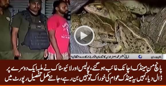 200 KG Frogs Disappeared, Police & Live Stock Blame Each Other