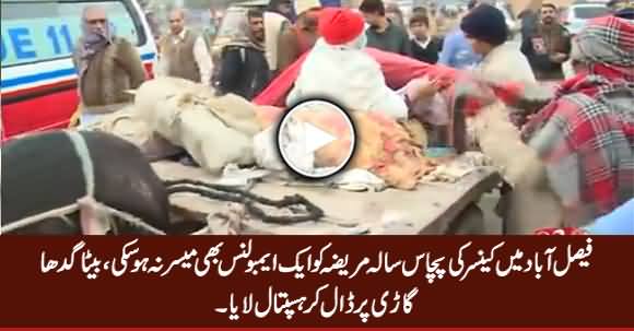 50 Years Old Cancer Patient Reaches Hospital on Donkey Cart in Faisalabad