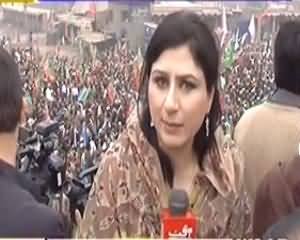 8pm with Fareeha (Tehreek e Insaaf Ke Dharne Ki Kahani) – 25th November 2013