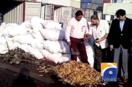 A Company Caught Red Handed While Trying to Smuggle 40,000 Tortoises From Karachi