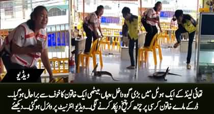 A Monitor Lizard breaks into a restaurant in Thailand, Petrified woman cries and climbs chair