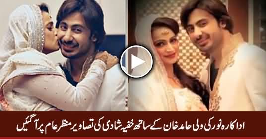 Actress Noor's Wedding Pictures With Her New Husband Wali Hamid Khan