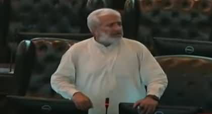 After Fatima Jinnah, Aleema Khan should be declared 'Madr-e-Millat 2' -  PTI member demands in KP assembly