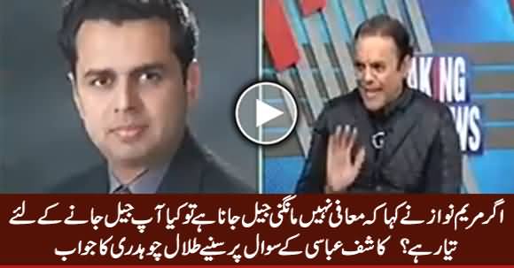 Agar Maryam Ne Kaha Jail Jana Hai Tu Aap Tayyar Hain Jail Jaane Ke Liye - Listen Talal Chaudhry's Reply