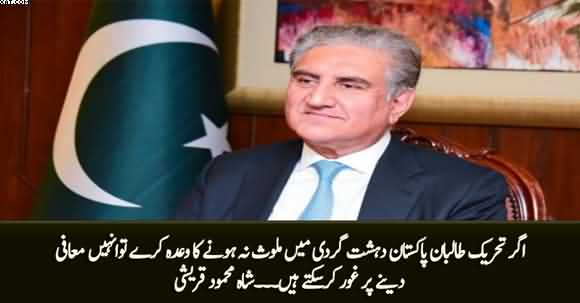 If TTP Recognizes the Constitution of Pakistan, We May Consider Granting Them Amnesty - Shah Mehmood Qureshi