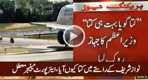 Airport Manager Suspended Due To A Dog Came On Runway Of Nawaz Sharif Plane