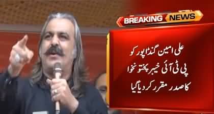 Ali Amin Gandapur Appointed as New President of PTI in KPK