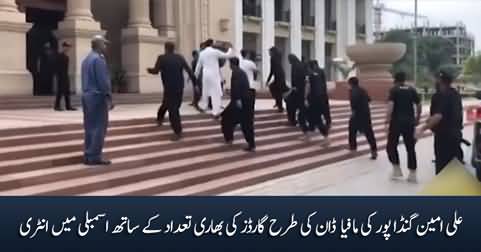 Ali Amin Gandapur's entry like a Mafia Don in Punjab Assembly