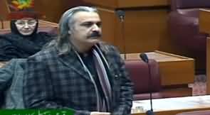 Ali Amin Gandapur Speech on Kashmir Issue in Parliament - 3rd February 2020