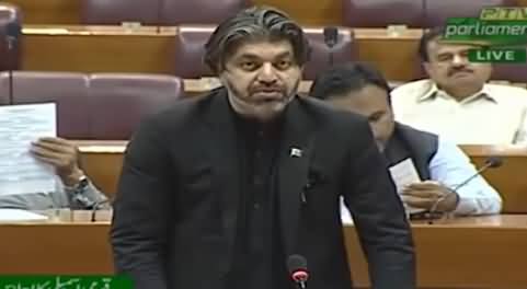 Ali Muhammad Khan Complete Speech in National Assembly - 30th April 2019
