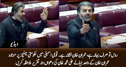 Ali Muhammad Khan's historical speech, the only PTI leader who stood for Imran Khan in National Assembly