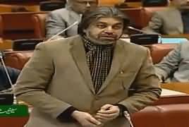 Ali Muhammad Khan Speech In Senate - 28th January 2019