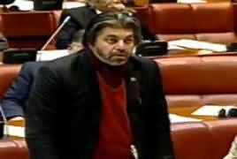 Ali Muhammad Khan Speech In Senate - 7th March 2019