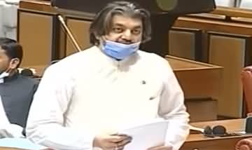 Ali Muhammad Khan Speech in Senate Session - 13th July 2020