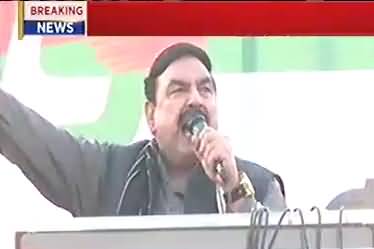 Ali tareen will play a important role in politics of Pakistan, Sheikh Rasheed