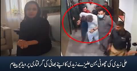 Ali Zaidi's younger sister Alizey Zaidi's video message on her brother's arrest