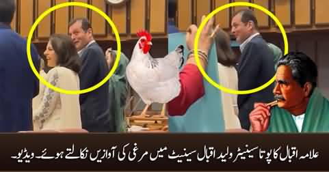 Allama Iqbal's grandson Senator Waleed Iqbal making chicken sounds in the Senate