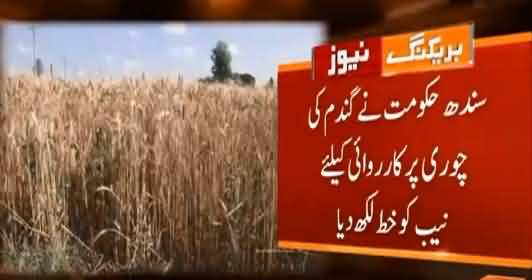 Another Big Scandal Of Wheat Heist Proved In Sindh Govt's Own Investigations