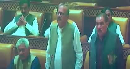 Apke Apny Ministers Apki Baat Nhn Mantay, Ye Kya Kar Ray Hain? PTI's Rana Aftab to Speaker Punjab Assembly