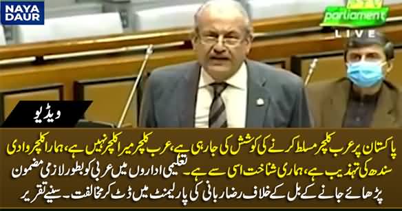 Arab Culture Is Not My Culture - Raza Rabbani's Speech in Parliament Against Making Arabic Compulsory Subject