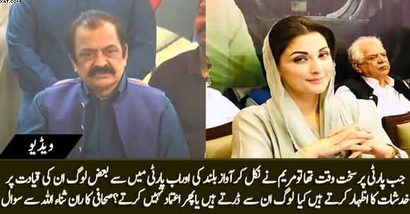Are Some of PMLN Members Afraid of Maryam Nawaz Or They Don't Trust Her? Journalist Asks Rana Sanaullah