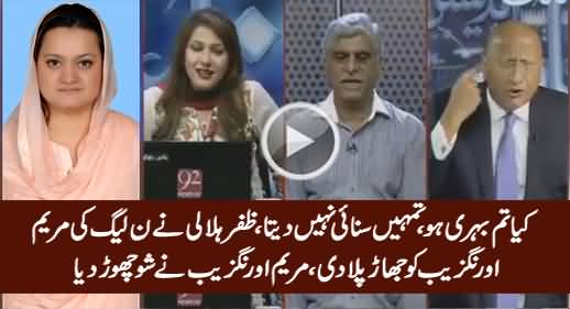 Are You Deaf - Zafar Hilaly Insults PMLN's Maryam Aurangzeb in Live Show