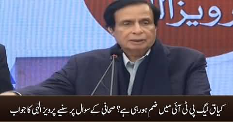 Are you merging PMLQ with PTI? journalist asks Pervaiz Elahi