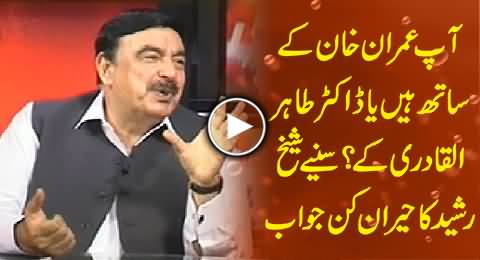 Are You with Imran Khan Or Dr. Tahir ul Qadri ? Watch Sheikh Rasheed Reply