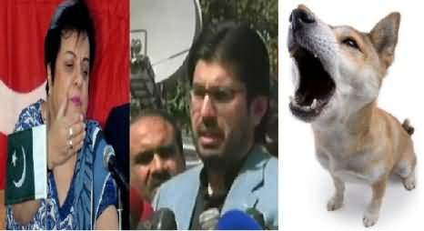 Arsalan Iftikhar is a Barking Dog - Shireen Mazari Replying to Arsalan Iftikhar Allegations