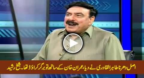 Asal Dharna Tahir-ul-Qadri Ne Diya, Imran Khan Ke Sath Tu Burger Crowd Tha - Sheikh Rasheed