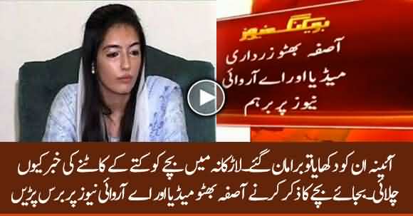 Aseefa Bhutto Angy On Media For Running Dog Bite Case On TV