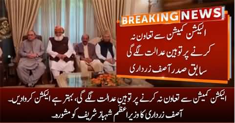 Asif Zardari advises PM Shahbaz Sharif to hold election