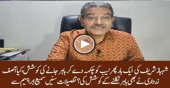 Asif Zardari And Shehbaz Sharif Tried To Escape Abroad - Sami Ibrahim Reveals Inside Story