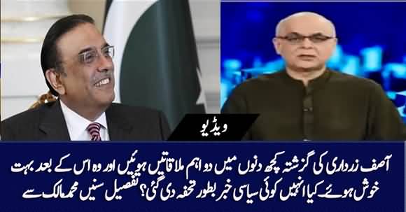 Asif Zardari Seen Very Happy After Two Important Meetings - Mohammad Malick Shared Details
