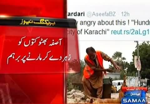Asifa Bhutto Got Angry Over Killing of Stray Dogs in Karachi
