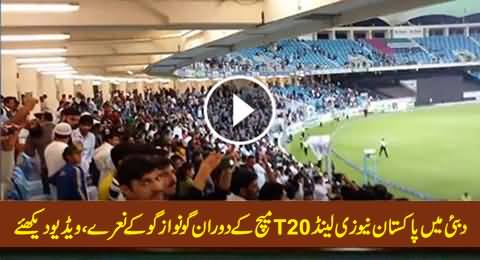 Audience Chanting Go Nawaz Go During Pakistan New Zealand T20 Cricket Match in Dubai