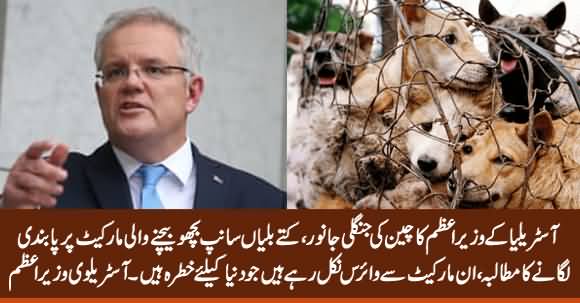 Australian PM Scott Morrison Calls for China's Wild Animal Markets to Be Banned