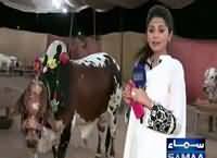 Awam Ki Awaz (Maweshi Mandi Mein Sahulat Ka Fuqdan) – 22nd September 2015