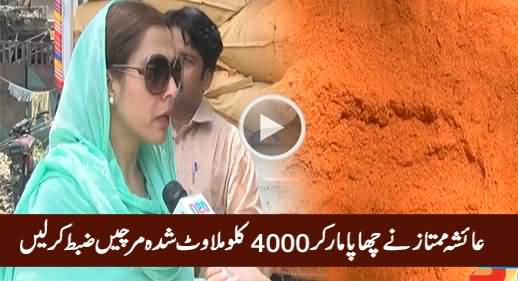 Ayesha Mumtaz Ne Chaapa Maar Kar 400 KG Milawat Shuda Mirchein Pakar Lein