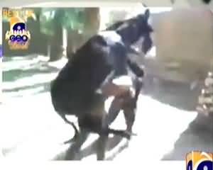 Best Of Geo Dost – 7th October 2013