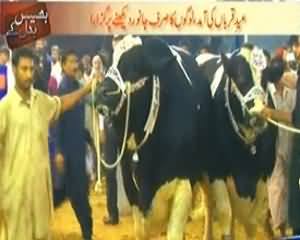 Bhais Badal Ke (Mandi Kay Ander Lut Ka Bazaar Tu Mandi Kay Bahar Lutaray Police Waley) – 13th October 2013