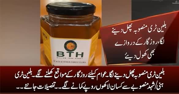 Billion Tree Project Creating Employment For People, Farmers Earning From Billion Tree Honey