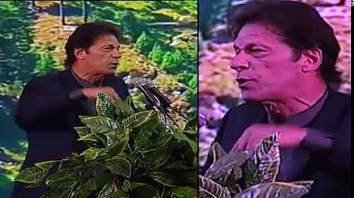 Bol News Package on Chairman PTI Imran Khan at Celebration event of Billion Tree Tsunami Project