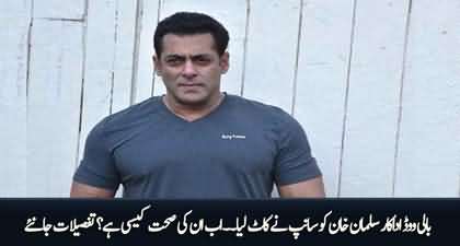 Bollywood actor Salman Khan bitten by a snake at his farmhouse