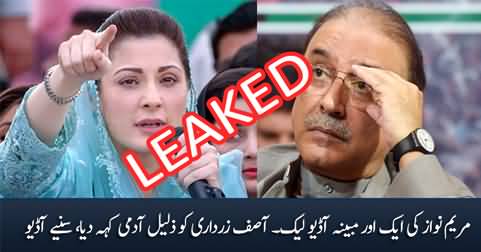 Breaking: Maryam Nawaz's new audio leak: calls Asif Zardari 