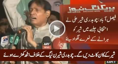 Breaking News: Chaudhry Sher Ali Chanting Slogans Against PMLN