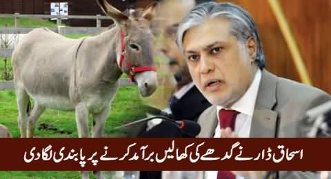 Breaking News: Ishaq Dar Imposed Ban on The Export of Donkey Skin
