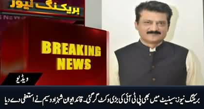 Breaking News: Leader of the house in Senate Shahzad Waseem has resigned