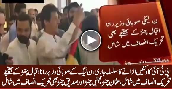 Breaking News: Nephew of PMLN's Provincial Minister Joins PTI